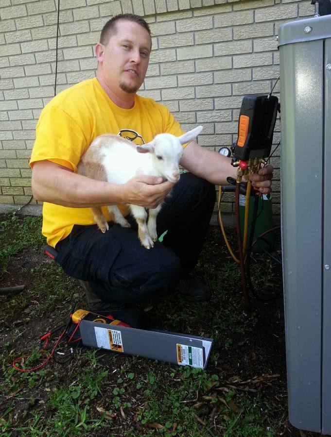 Dirty Works crew — even when a baby goat shows up on the job