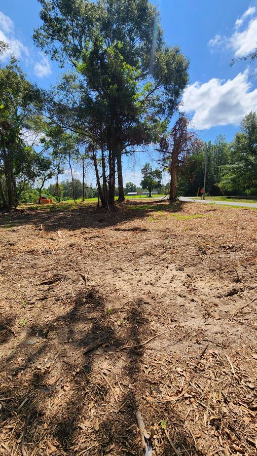 Cleared and mulched lot