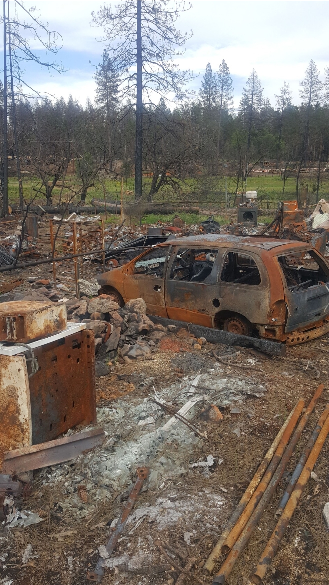 Wildfire aftermath — total loss