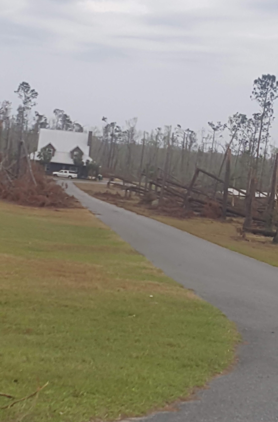 Tornado damage — entire tree line snapped